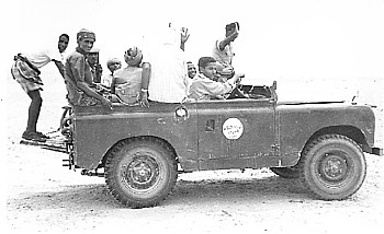 The 'Motley Crew' mentioned in the text