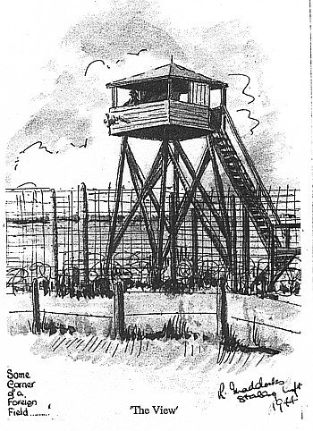 POW View from the window